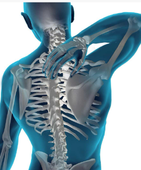 BackSkeleton